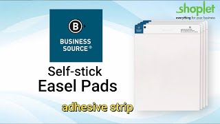 Business Source 25x30 Lined Self-stick Easel Pads