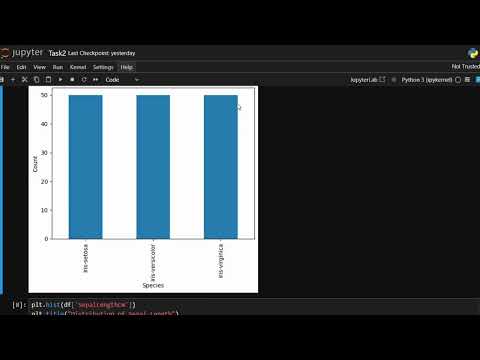 Synent Technologies Data Science Internship Task 2