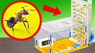 My New Ant Farm! || A Perfect Spider House: How Tarantulas Grow🕷 || Fantastic DIY