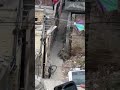 Jalandhar De Lamba Pind Ch Aia Leopard Usne Mcahiya Kehar Jalandhar De Lamba Pind Ch Aia Leopard Usne Mcahiya Kehar