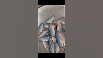 Cá Heo  Đồng Tháp mùa nước nổi