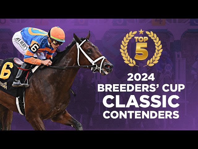 Top 5 2024 Breeders' Cup Classic Contenders - YouTube