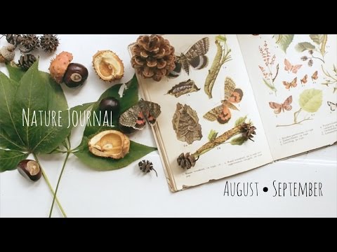 Nature Journal [AUGUST • SEPTEMBER]