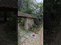 A casual BUSINESS walk in an English Forest at 42 Acres, Somerset #uktravel #businesstravel