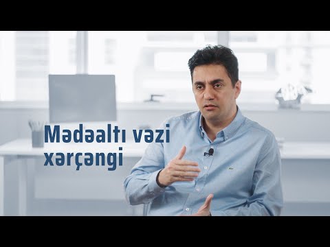Video: İtlərdə Mədəaltı Vəzi Xərçəngi (Glucagonoma)