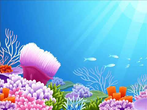 ابراهيم البسكري بايت نقرى في جوابك