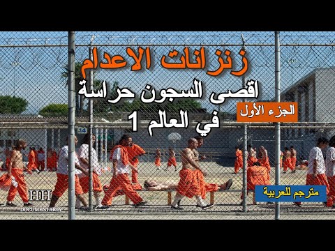 فيديو: زنزانات مشرقة