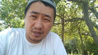 видео: Результаты теста после потребления хрена. Часть 2 картинка: Результаты теста после потребления хрена. Часть 2