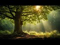 12 Hours of Relaxing Music - Piano Music for Stress Relief, Sleep Music, Meditation Music (Iris)