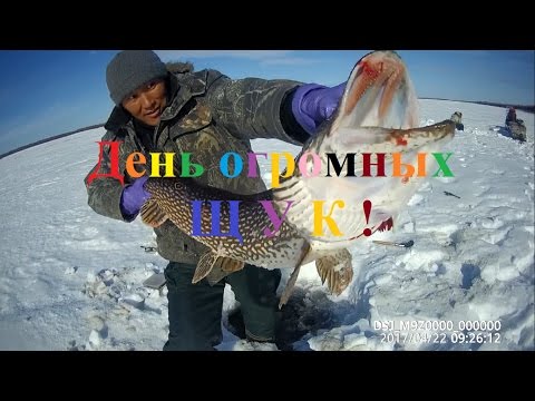 Fishing день огромных щук Якутия, ловим щук Yakutia
