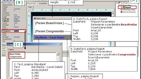 Rave Reports para Delphi 13 Florence como instalar passo a passo sem mistérios Relatórios