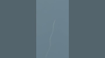 Tail Wagging High Power Rocket Launch at LDRS 42 in New York