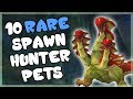 10 Rare and Unique Hunter Pets That AREN'T Spirit Beasts and How to Get Them in WoW