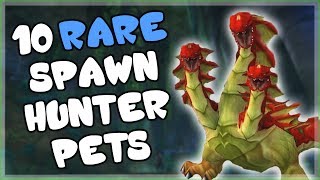 10 Rare and Unique Hunter Pets That AREN'T Spirit Beasts and How to Get Them in WoW