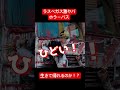 ラスベガス激ヤバホラーバス！生きて帰れるのか？ #アメリカ #恐怖 #ゾンビ #ラスベガス #英会話 #TV業界