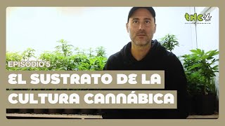 GROWERS - EPISODE 5 | The substrate of cannabis culture