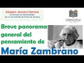 Breve panorama general del pensamiento de María Zambrano