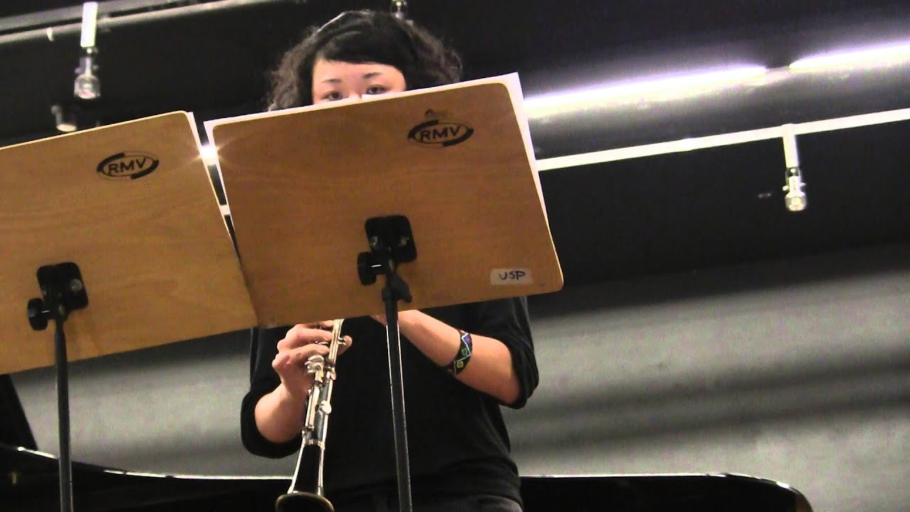 RODE VIDEOMIC PRO ♫♪JOKE FOR ANDREW SIMON( SERBAN NICHIFOR)♫♪