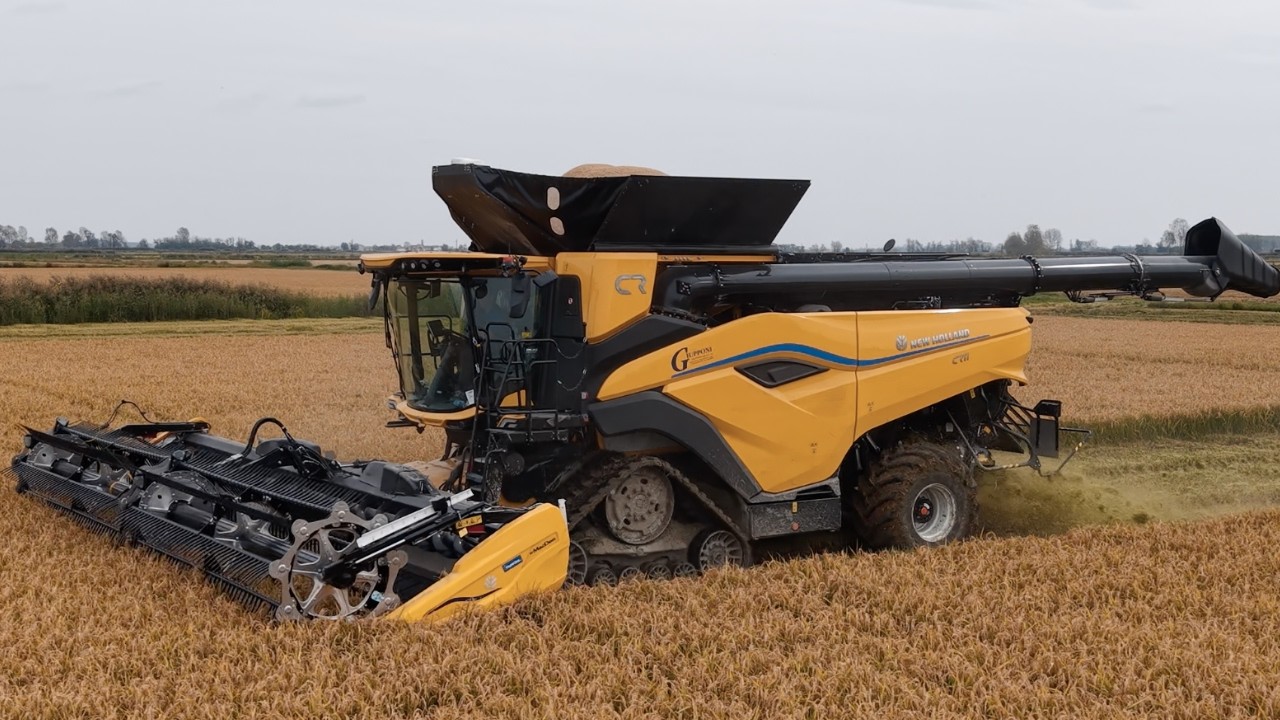 New Holland CR11 + MacDon 9 mt | Rice Harvesting - YouTube
