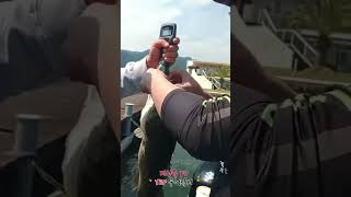 일본 가이드도 안된다고 했지만 해낸 유프로
