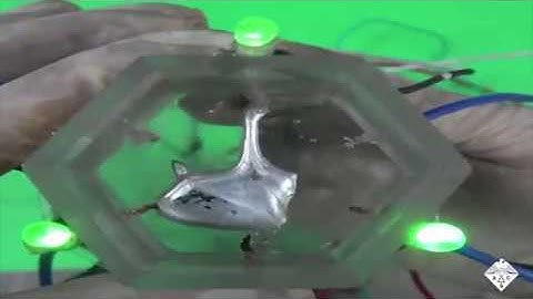 A revolutionary liquid metal paves the way for shape shifting robots