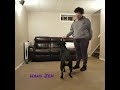 20200924 - Awesome Obedience - Motivation Games with Saga