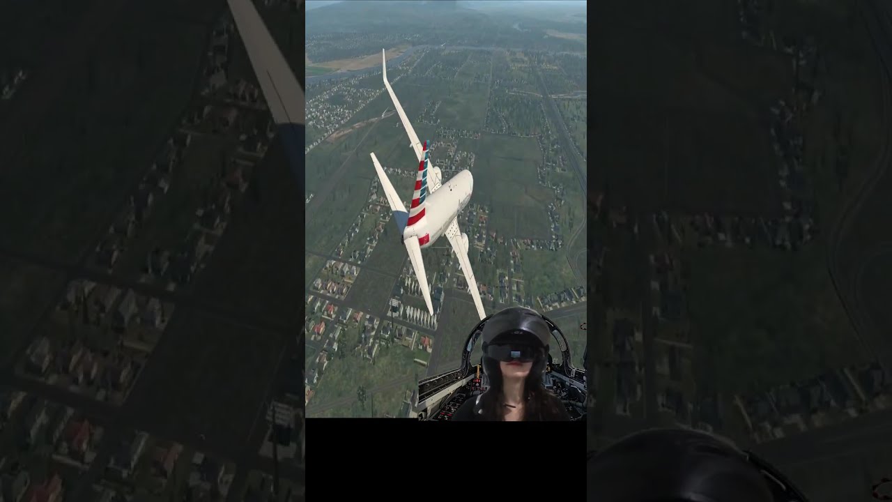 emergency flight to America eps 4 (woman pilot)