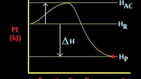 Chemistry Music Video 21:  Exo, Endo, What