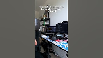 🐞 Bugs, bugs everywhere!