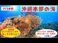 153本目  週末に水納島周辺、ゴリラチョップ、沖縄北部の本部の海へ潜りに行ってきましたー！海も陸も盛りだくさんでサイコーに楽しい4日間でした！！むらい だョ！全員集合