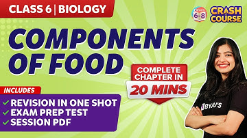 Components of food Class 6 Complete chapter under 20 mins | BYJU