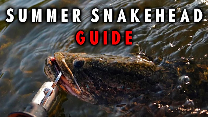 How to Catch Northern Snakehead in the Summer (on Artificial Lures)