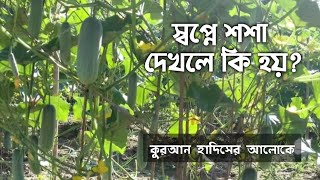 সবপন শস দখল ক হয সবপন লউ দখল ক হয সবপন কদ দখল ক হয Zubayer Ben Imam