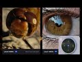 Vivo X300 Macro & Portrait Camera Test 📸
