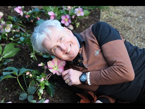 Get Gardening: Winter