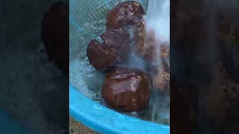 Nước phèn nặng tác dụng hạt xúc tác!