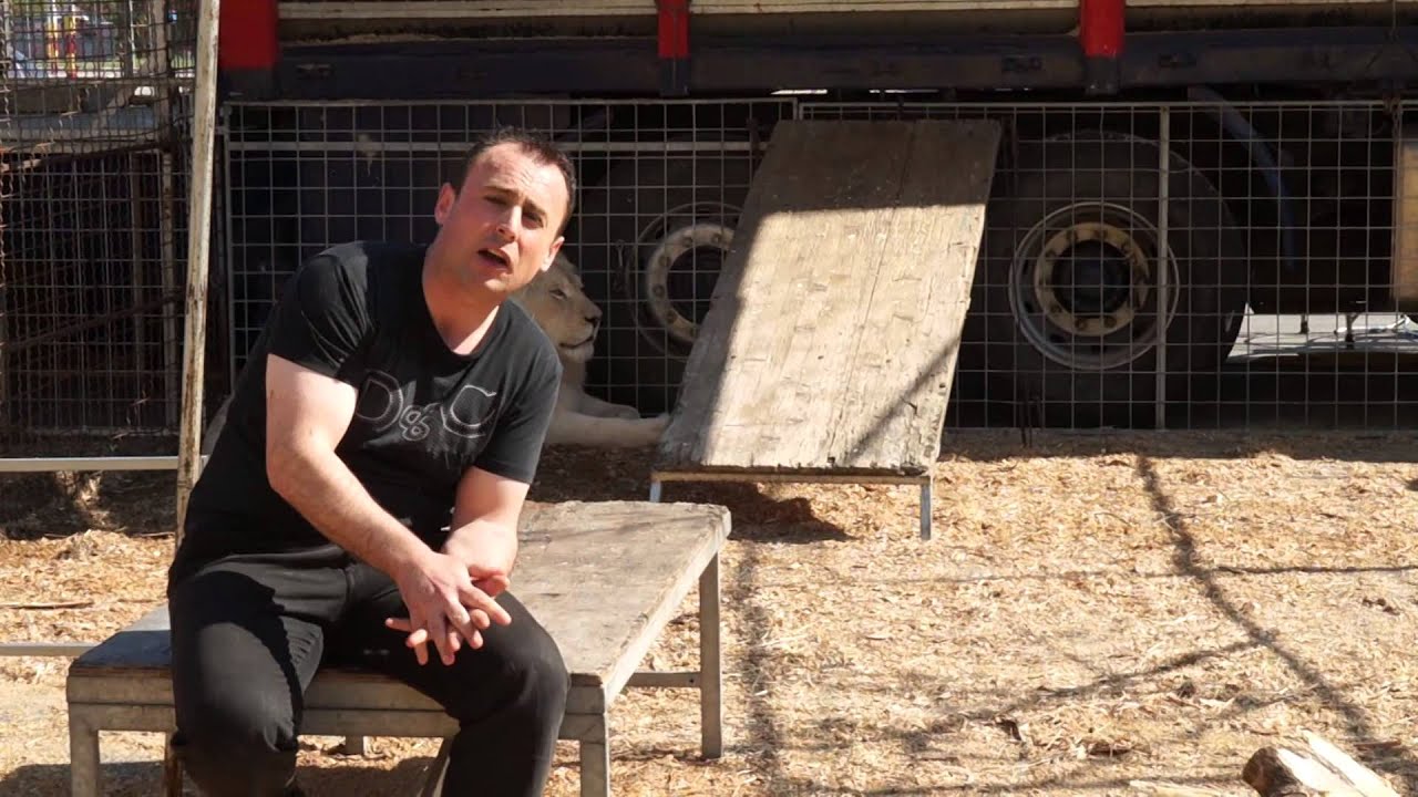 Riflessione sull'ipocrisia animalista