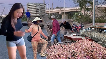 Full Video: Transporting 10,000 Ducks by Truck and Boat to a New Field for High Profits|Farm Life TV