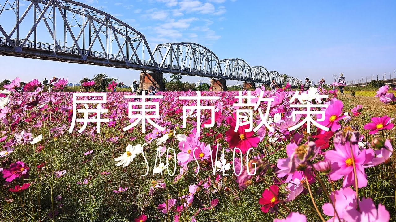 Sao's Vlog（屏東市散策），建豐路幸屏洋食、民生路本質咖啡、屏東市中央市場、林森路煎恰恰、下淡水溪舊鐵橋波斯菊花海。