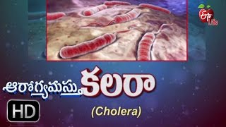 Aarogyamastu - Cholera - 9th September 2016 - ఆరోగ్యమస్తు