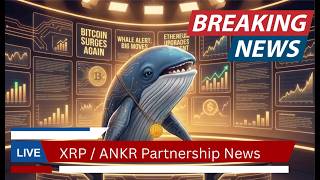 The Deep Dive: XRP ANKR Partnership News screenshot 1