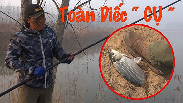 Điểm câu bí mật của cần thủ Trung Quốc. Toàn Cá Diếc tự nhiêu siêu to giật đã tay