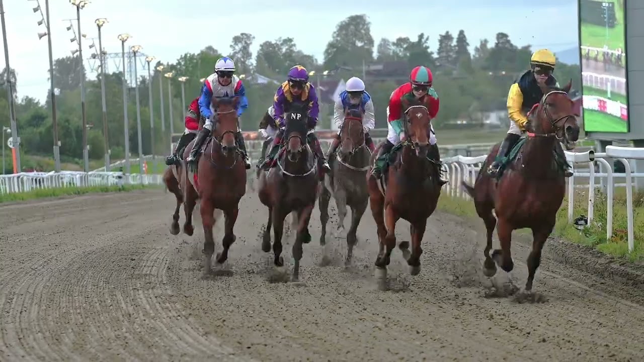 Øvrevoll Galoppbane / 04.09.2025 / 17:05 Cet / Race #4 / 1600Dt / Maidenløp