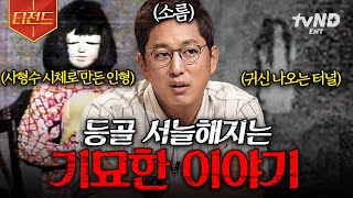 [#프리한19] 공포썰 좋아하는 사람?🙋 온몸에 소름이 끼치는 전 세계의 괴담.zip  | #티전드