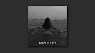 harleys in hawaii (𝘴𝘭𝘰𝘸𝘦𝘥 𝘵𝘰 𝘱𝘦𝘳𝘧𝘦𝘤𝘵𝘪𝘰𝘯)