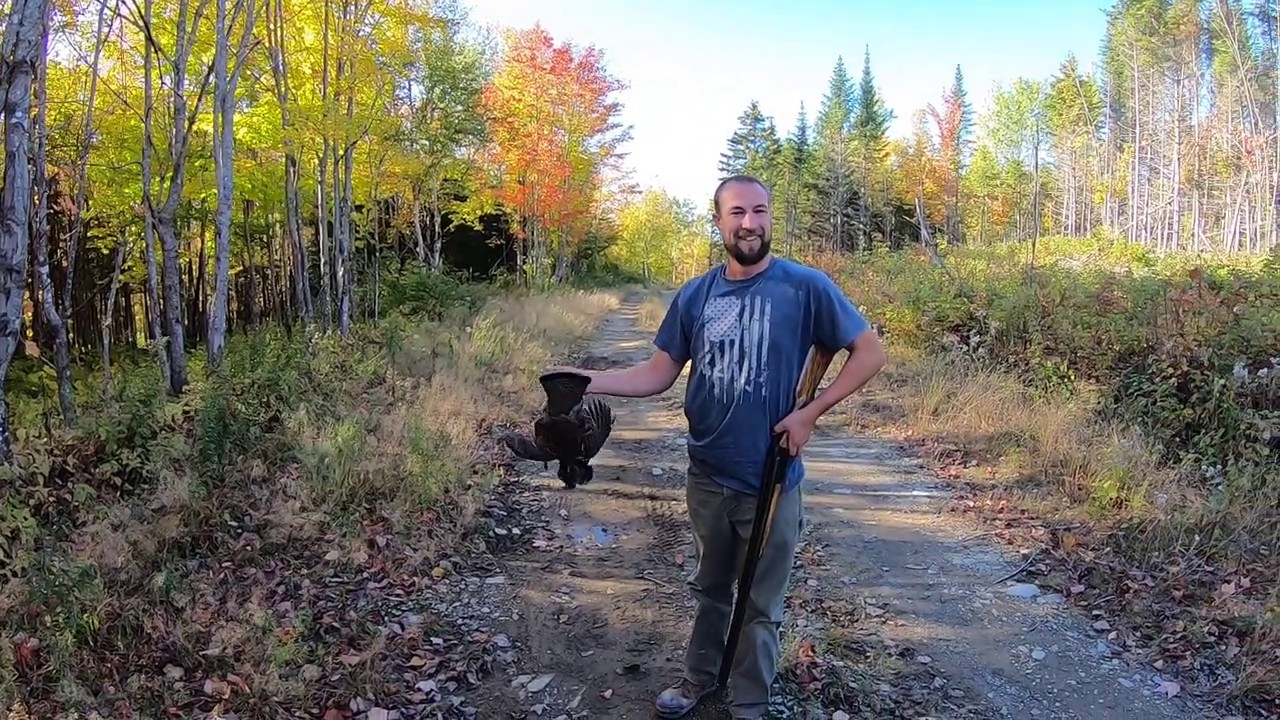 2019 Maine Partridge Hunt, Part 3 (grouse hunt) YouTube