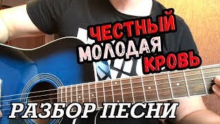 Как играть на гитаре ЧЕСТНЫЙ - МОЛОДАЯ КРОВЬ (РАЗБОР)