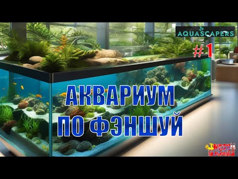 Видео: Аквариум по фэншуй - Aquascapers