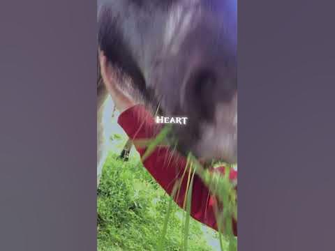 Neigh - YouTube