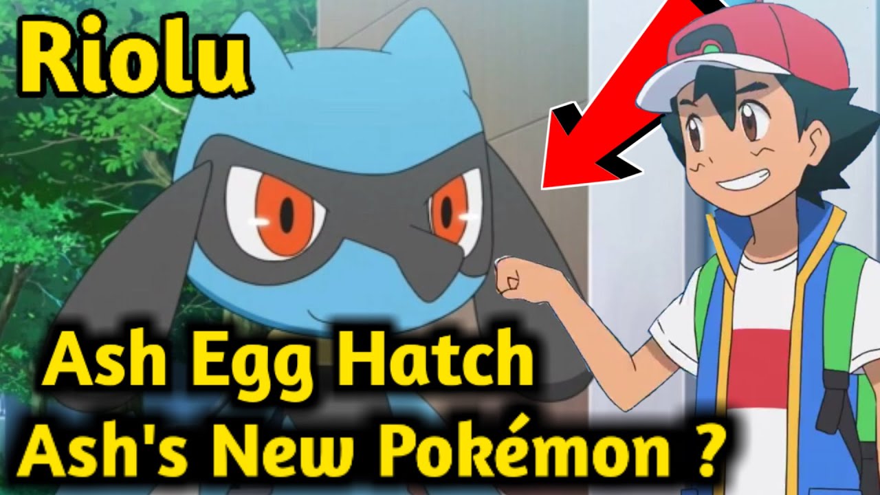 Ash Caught Riolu Ash's New Egg Ash New Pokémon YouTube